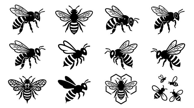 Black and white vector silhouette set of Honey Bee