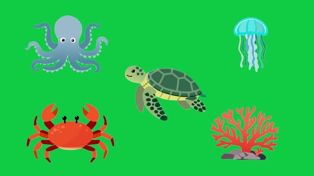 2D Animated Marine Animals with Ocean Coral Elements for Underwater Kids Collection