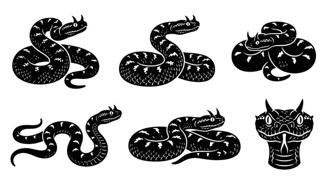 Black and white vector silhouette set of Horned Adder