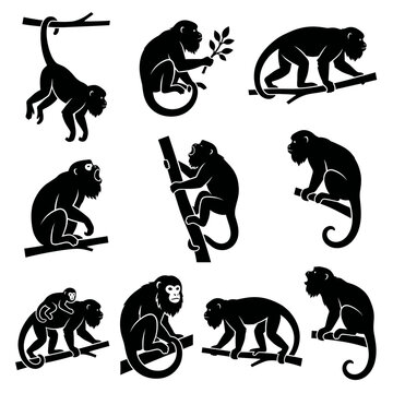 Black and white vector silhouette set of Howler Monkey.