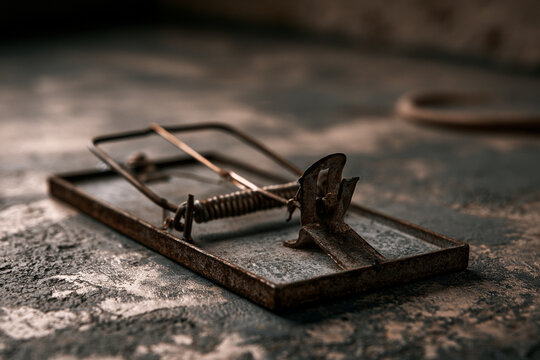 Close-up of metal rat trap on garage floor with textured surface