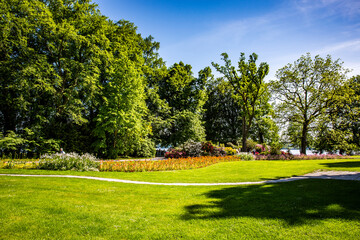 Fototapeta premium Lawn in the park