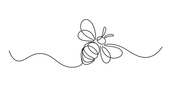 Continuous single line drawing of a flying honey bee Vector, illustration