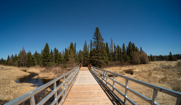 View along a wooden walking bridge with guardrails surrounded by a spruce park forest and a winding stream surrounded by dry grass, no clouds
