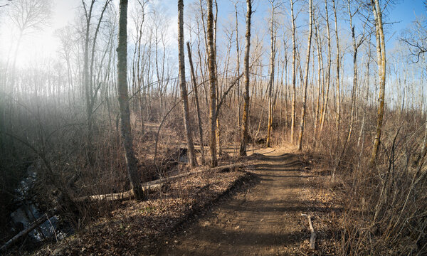 Winding dirt walking trail through a spring leafless forest with a bright area caused by the sun