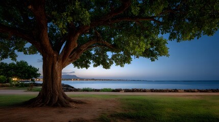 Fototapeta premium A majestic shade tree stands overlooking the calm sea during the serene blue hour of twilight