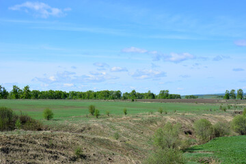 Fototapeta premium a valley with Green Field and Blue Sky with Clouds copy space