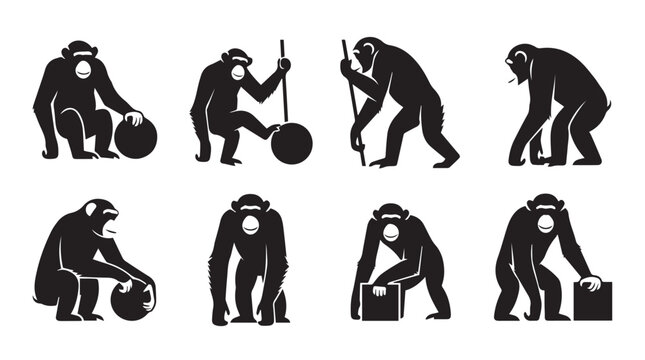 Chimpanzee silhouettes in various poses with objects against a white background conceptualizing intelligence and problem solving