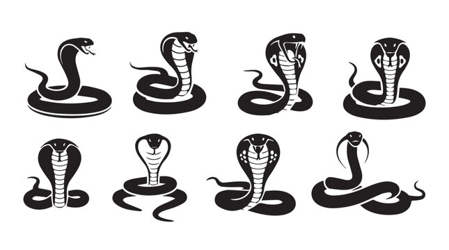 Cobra snake silhouettes in striking poses against a white background symbolizing danger and power