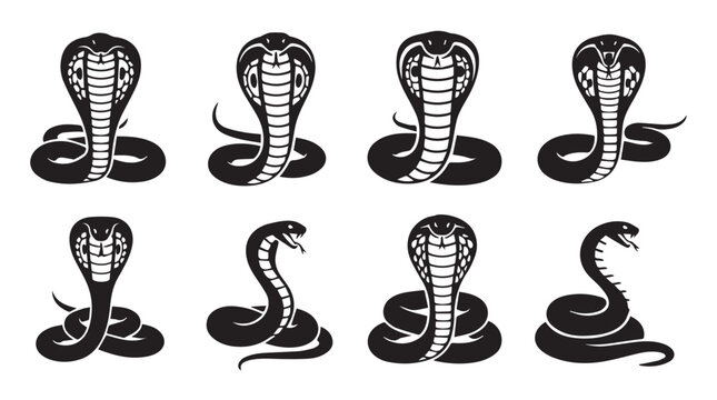Cobra snake collection in silhouette against a white background showcasing protective stance for concept design