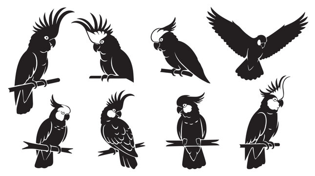 Cockatoo silhouettes perched and flying against a white background symbolizing freedom and nature