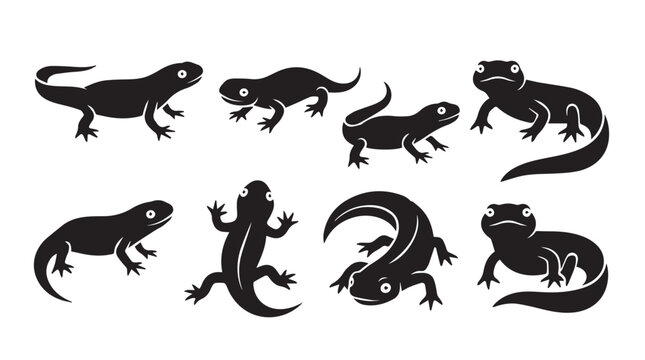 Eight Diverse Salamander Silhouettes Against a White Background Representing Reptilian Diversity
