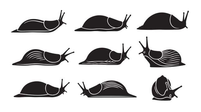 Gastropod silhouettes in motion against a white backdrop symbolizing slow progress and nature concepts