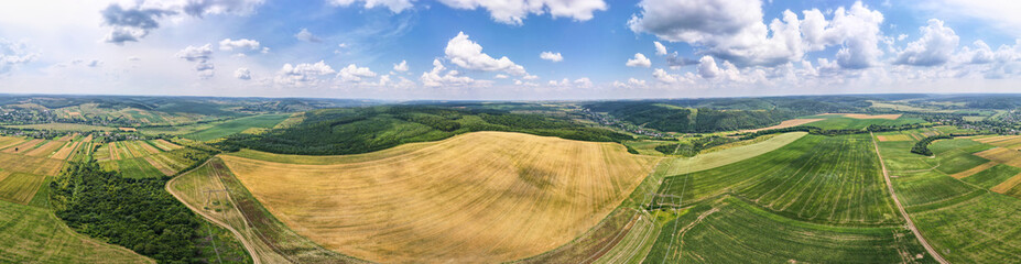 Fototapeta premium Aerial landscape view of yellow cultivated agricultural field with ripe wheat on bright summer day