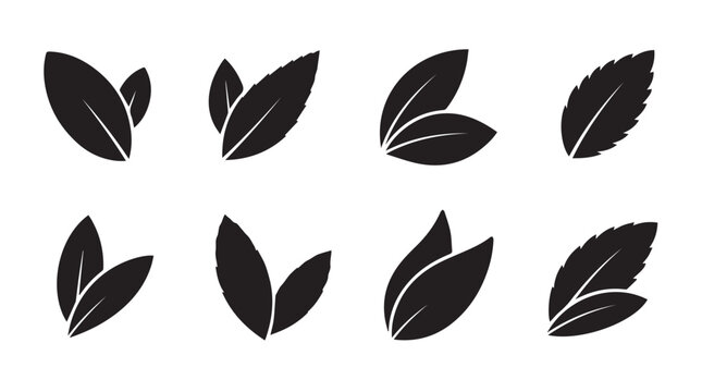 Mint Leaves Silhouette Collection Against White Background for Natural Product Branding