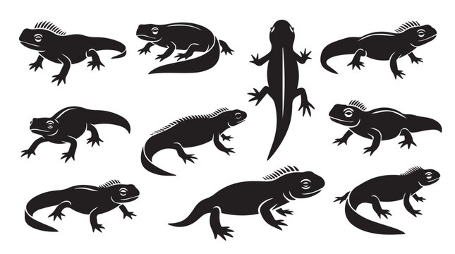 Multiple Iguana Silhouettes in Various Poses Against White Background for Concept Design