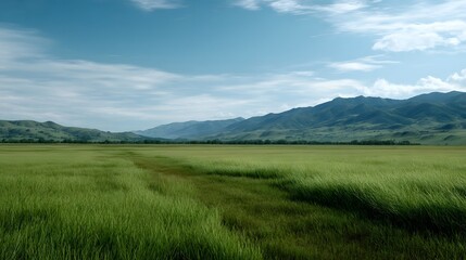 Obraz premium A breathtaking wide view across a lush green field set against a backdrop of rolling mountains and a vast blue sky