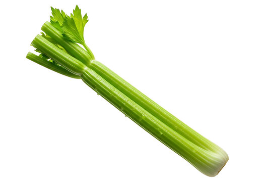 Fresh vibrant green celery stalk with leaves isolated on transparent background