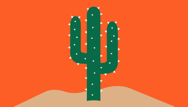 Cactus, desert plant, green prickly succulent, orange background, vector illustration