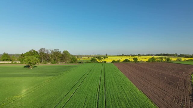 Aerial view of colorful agricultural fields and rural countryside landscape in Poland
