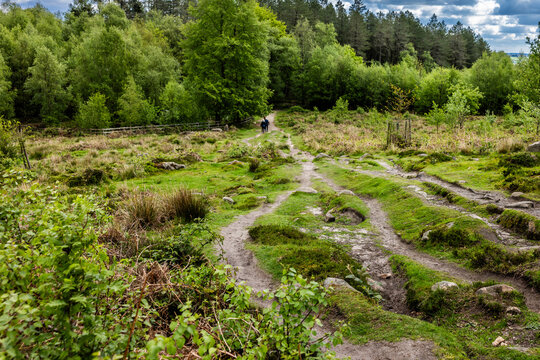 The Black Rock and High peak Trail near Matlock in Derbyshire, United Kingdom