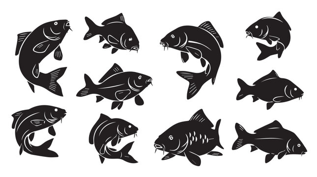 Various carp fish silhouettes against a white background symbolizing aquatic life and fishing