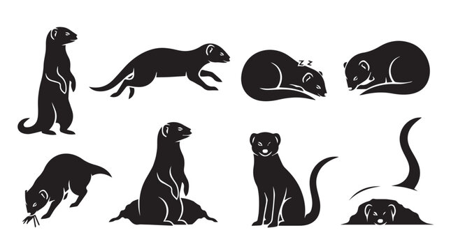 Various mongoose silhouettes in different poses against a white background