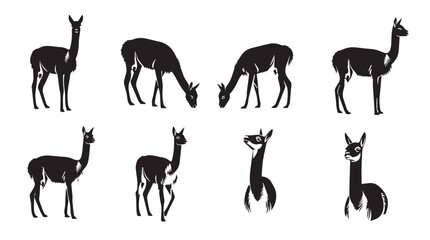 Obraz premium Various Vicu?a poses in silhouette against a white background symbolizing nature and wildlife conservation