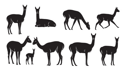 Obraz premium Vicuna herd silhouettes against a bright white background with varied poses and family groups