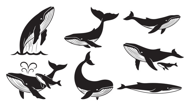 Whale silhouettes against a clean background for ocean life concepts