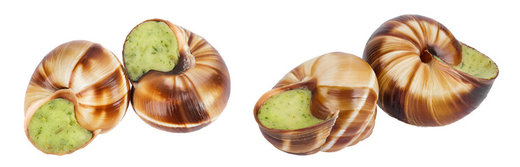 escargot snail filled with garlic and parsley butter isolated on white background. Top view. Flat lay © kolesnikovserg