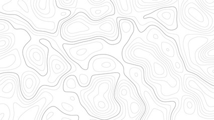 Obraz premium Topographic map contour lines pattern with thin grey strokes on a white background representing elevation data and geographical terrain mapping 1