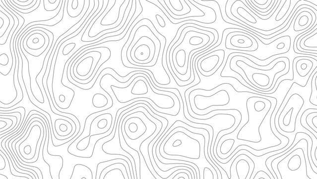 Topographic map contour lines pattern featuring thin grey lines on a white background representing elevation levels in a fluid organic shape arrangement for geographical data visualization