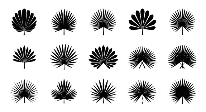 Collection of various black palm leaf silhouettes.
