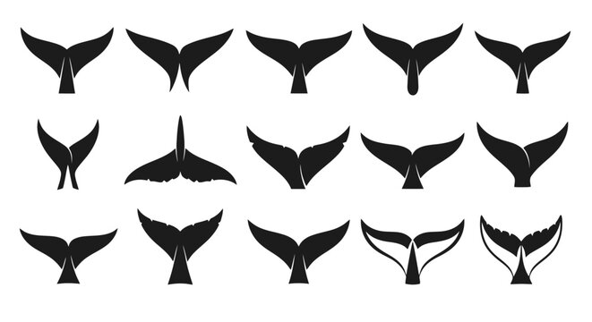 Collection of various whale tail silhouettes.