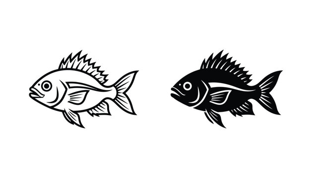 Detailed fish character design set featuring line art and silhouette graphic for fishing logo or marine life educational material vector