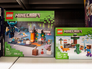 Obraz premium LEGO Minecraft Creative Building Sets for Kids