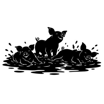 Piglets wallowing in muddy puddle, concept of playful and natural animal behavior 