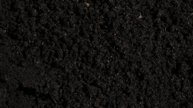 Dark brown fertile soil fills the entire frame as loose dirt particles fall and scatter across the white surface above, in a close-up shot of the texture of fertile soil