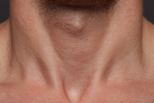 Male neck close up skin texture stubble sternum collarbone natural tone visible Adam apple