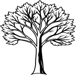 Obraz premium tree with roots