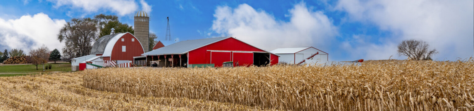 A panorama image of a  farm with red barn and a corn field near Rochester MN,