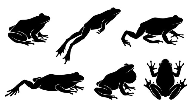 frog silhouettes in side and top view, solid black shapes, each in different poses such as sitting.
