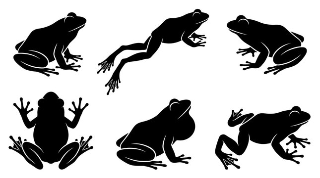 frog silhouettes in side and top view, solid black shapes, each in different poses such as sitting.