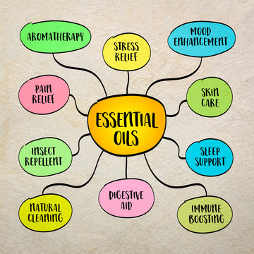 essential oils applications, mind map infographics sketch