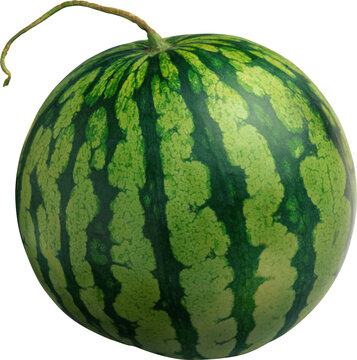 Juicy Orb of Summer: A perfectly round watermelon, a quintessential emblem of summer, is presented in its natural splendor.