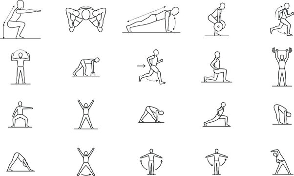 Minimalist Line Drawing Yoga Poses Sequence Showing Proper Alignment on Clean White Background fitness routine wellness lifestyle home workout yoga poses healthy living mindful movement studio illustr