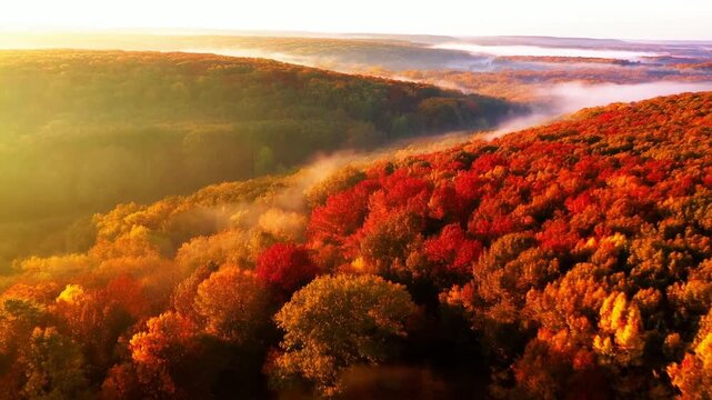 Aerial slow motion tracking pan of autumn forest canopy drifting with morning fog across rolling hills and valleys at sunrise