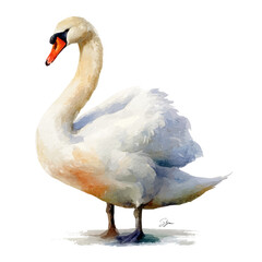 Swan watercolor drawing vector, premium quality illustration on a clean white background. © Cooper