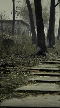 A pathway made of stone steps winds through tall trees. The ground is covered with fallen leaves. The sky is cloudy, and the air appears humid. The steps lead upward into the distance.